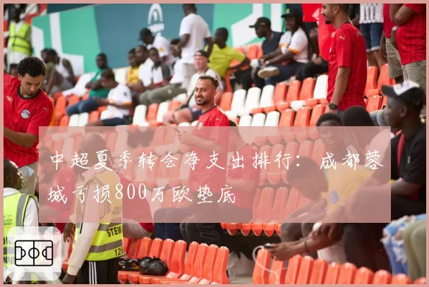 中超夏季转会净支出排行：成都蓉城亏损800万欧垫底
