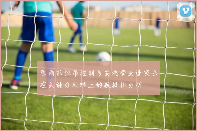 陈雨菲拉吊控制与安洗莹变速突击在关键分处理上的数据化分析