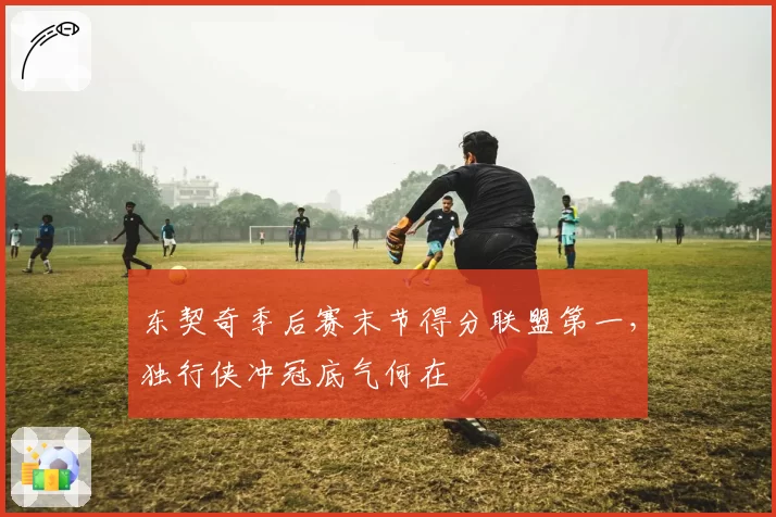 东契奇季后赛末节得分联盟第一,独行侠冲冠底气何在